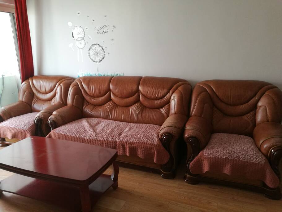 舒适的皮质沙发