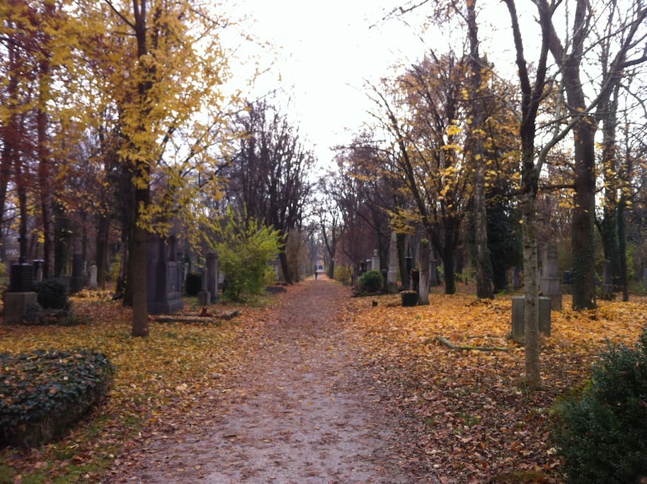 in autumn