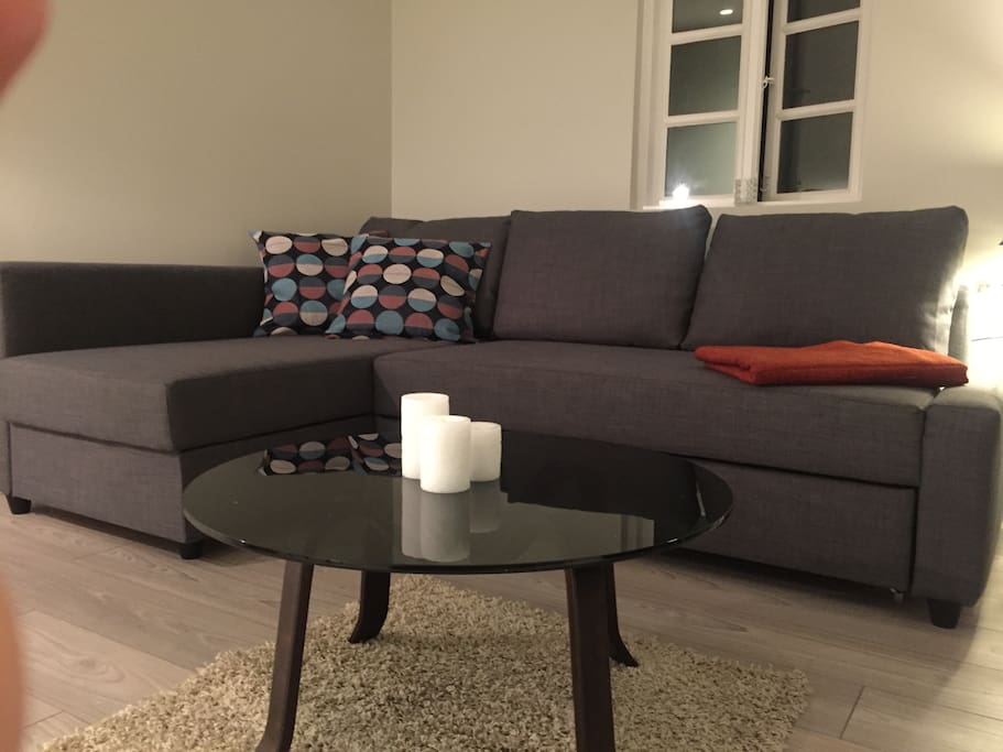 Living area w Sofabed