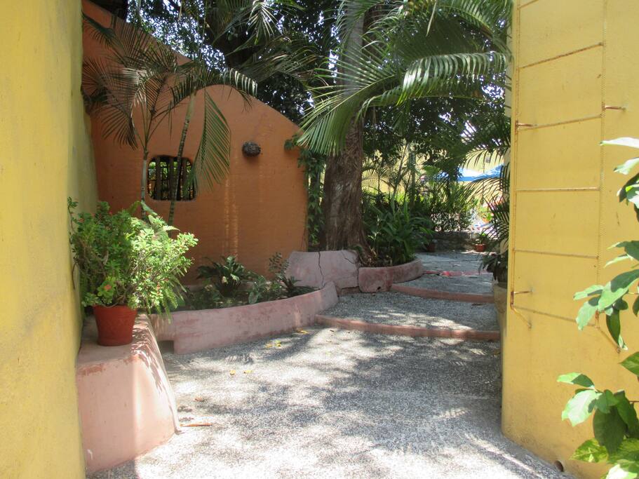 Path in complex
