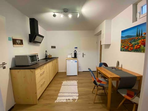 Beautiful apartment(basement) with private entrance. 1.5Z.