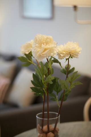 Tranquilo, reformado y acogedor en B de Salamanca gallery image 4