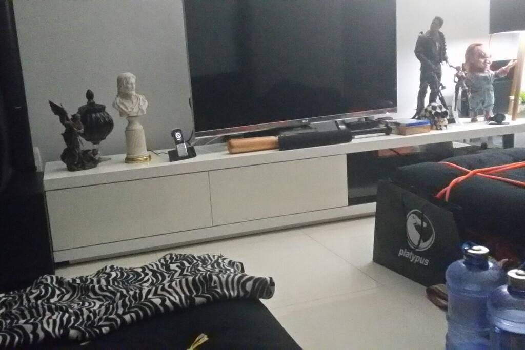Television that can be used anytime.