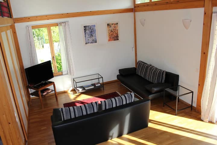 Les Pins - Appartement/loft - Quartier Résidentiel - Annemasse