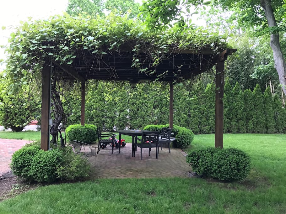 Enjoy the lovely yard