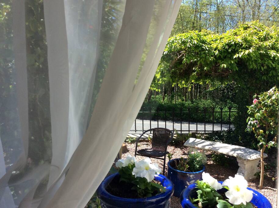 Front garden from sitting room window