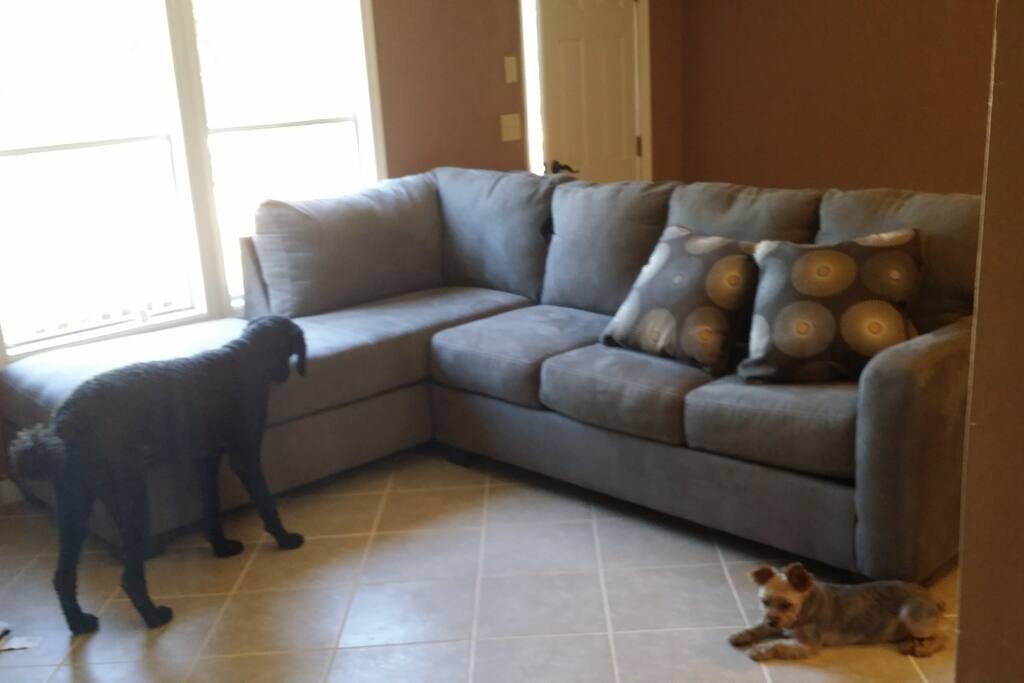 Pull out couch