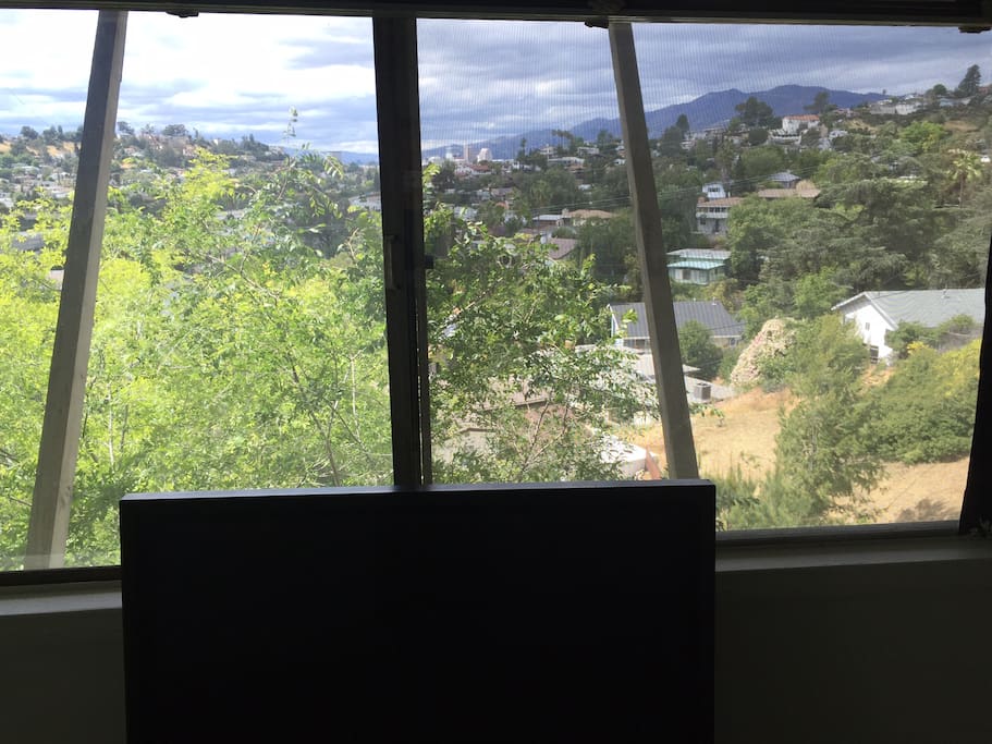 Garden Skyline View
