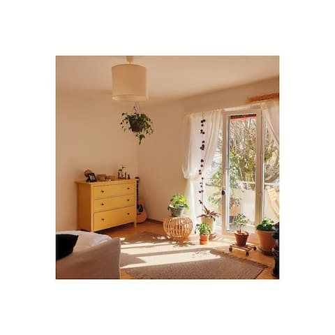 Popular Airbnb listing: Green House in Albisrieden