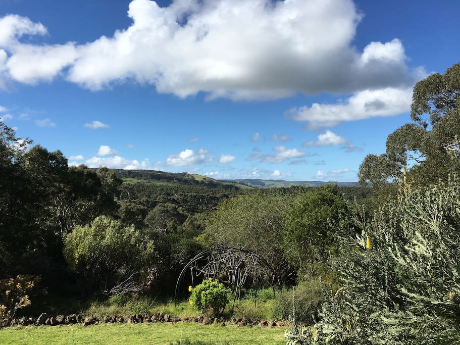 View from Bedroom