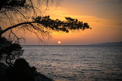 Popular Airbnb listing: Beautiful seaside accommodation with private parking! in Općina Blato