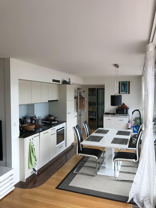 The open kitchen and the dining Area