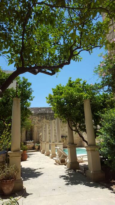 The garden