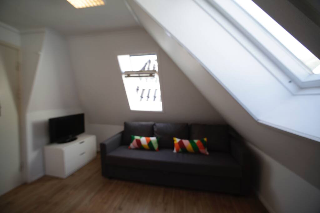 The Sofabed is a comfortable and modern sofa that is great to use as a seating area at daytime. In this room you also have a TV available.