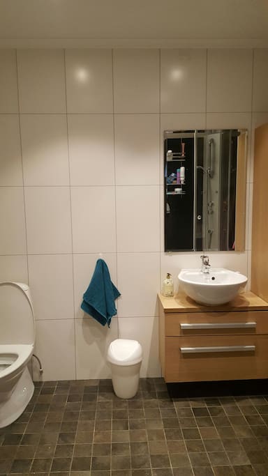 Bathroom built in 2011