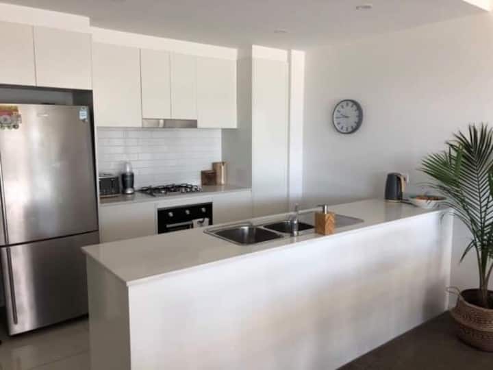 Top 2 Pet & DogFriendly In Wollongong, Australia