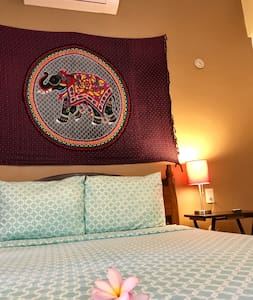 Rehilete | Estudio en el centro de Holbox