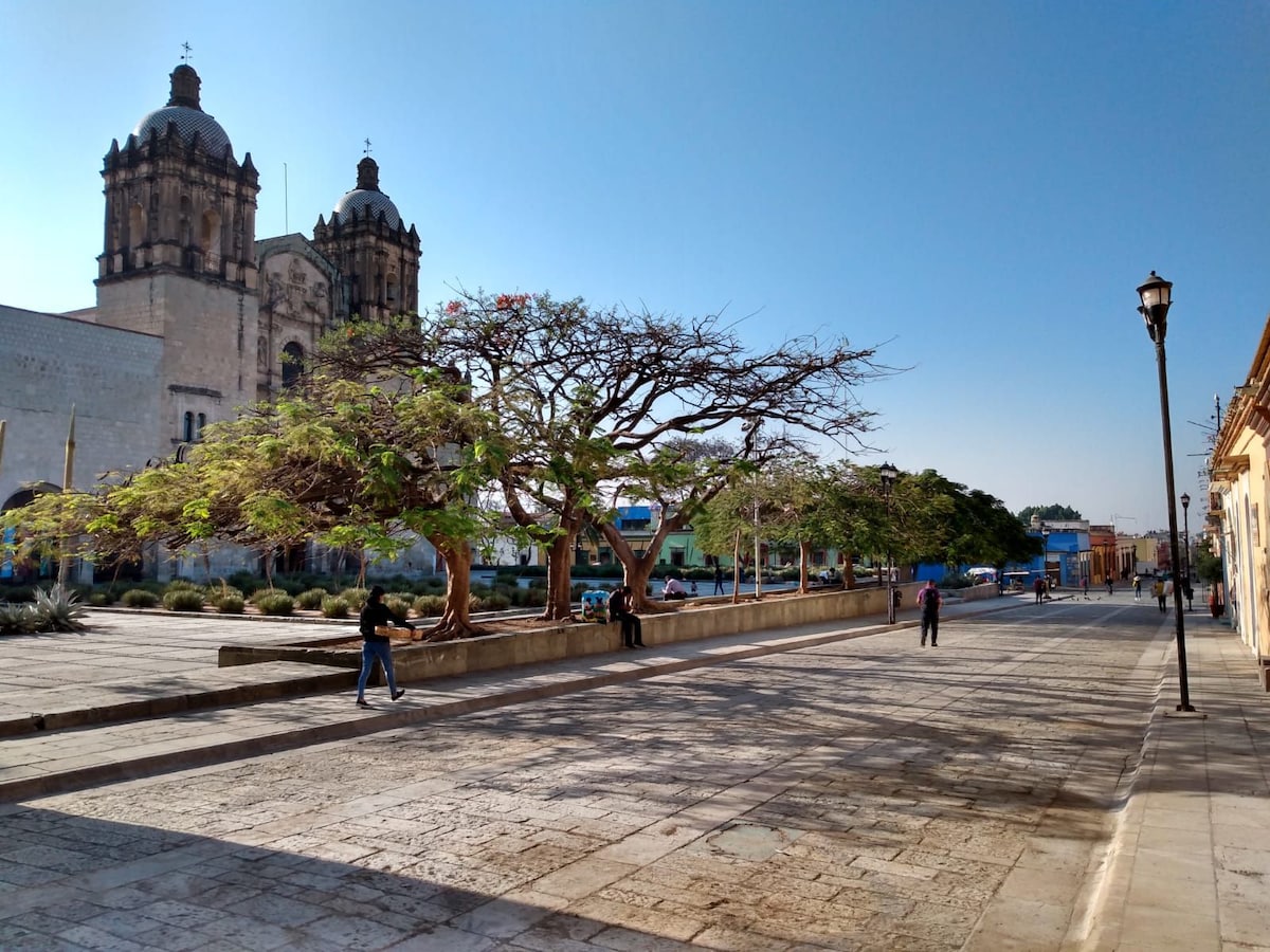 A wide cobblestone plaza is framed by a large tree and historic buildings, including a church with twin towers in the background. Several individuals are seen strolling along the pathway, under clear blue skies. Street lamps line the area, adding to the inviting ambiance.