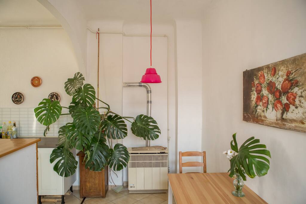 Dining room + Kitchen