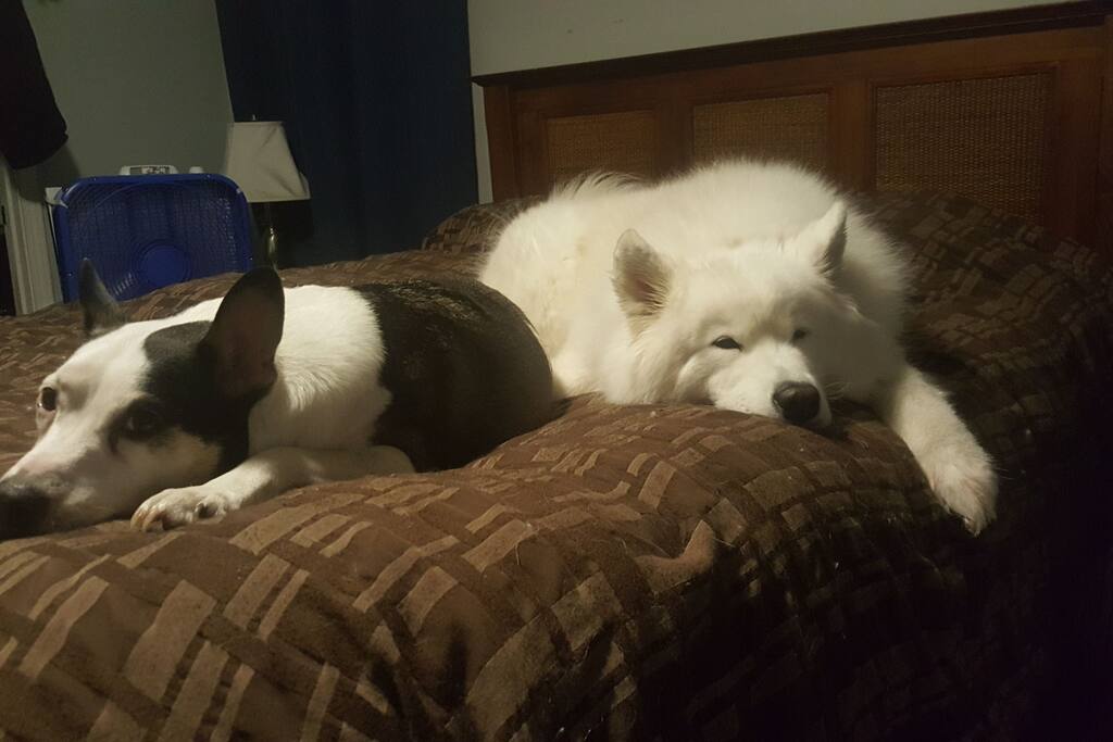 Kino & Rainey.