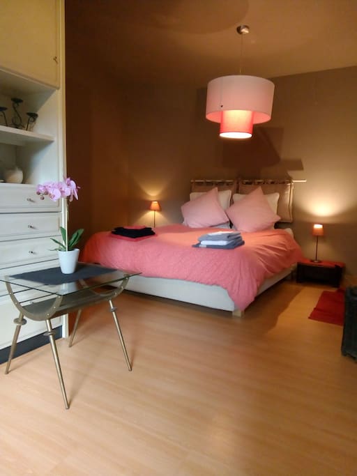 Grande chambre double
vue sur jardin.