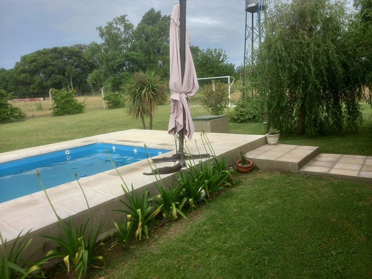 A serene outdoor space features a rectangular swimming pool surrounded by light-colored stone decking. Lush greenery, including potted plants and grass, enhances the natural setting. An umbrella stands nearby, offering shade for relaxation.