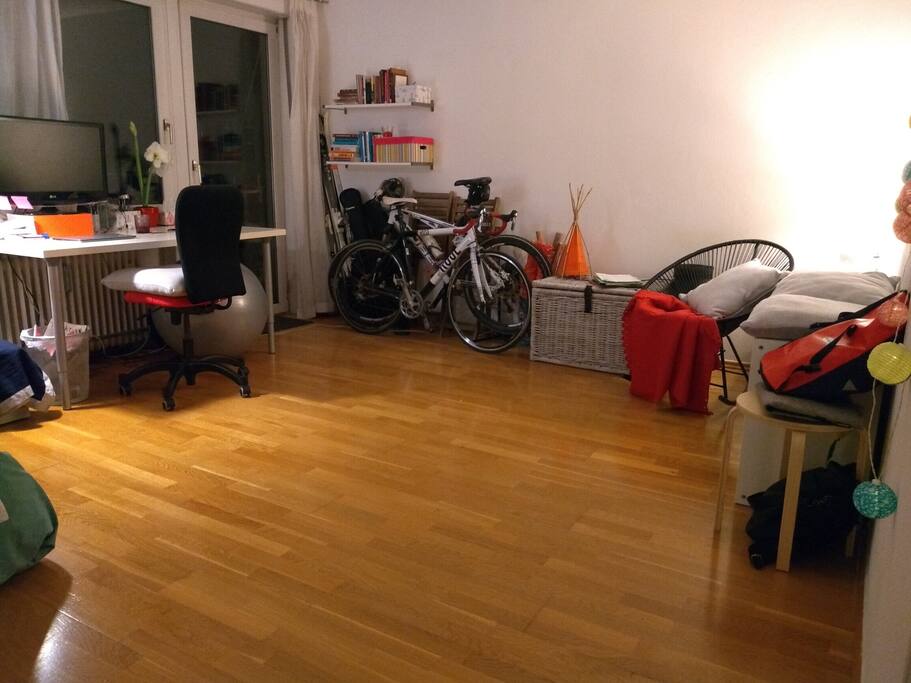 Bed/living room 3/3