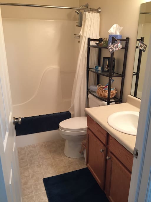 Guest bathroom
