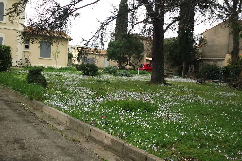 Le jardin au printemps