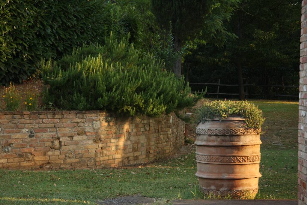 il giardino