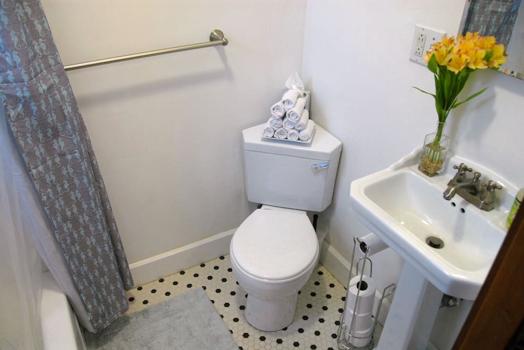 "Clean. Comfortable. Bathroom was modern with unique toiletries. Great family. Location was ideal. We walked to Star Market and Porter Square bookstore every day. My first AirBnb experience was outstanding!!" --Anita