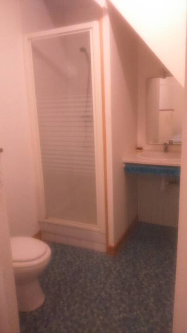 Salle d'eau, wc donnant sur la chambre.