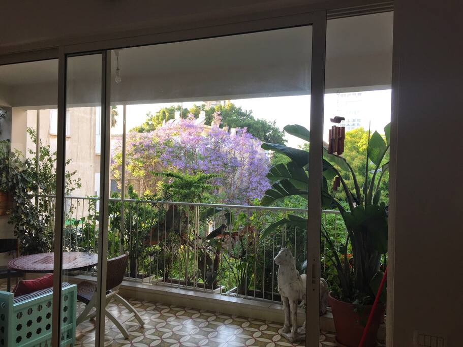 Living Room View