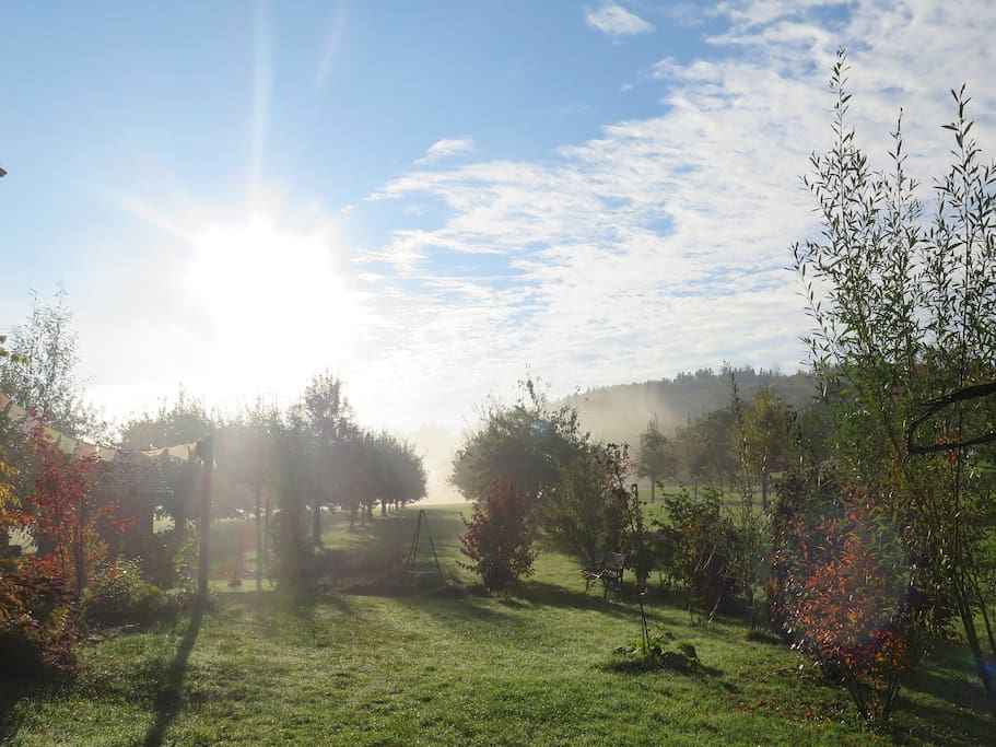 Garten, u.a. mit Feuerstelle zum mitbenutzen und mitnaschen