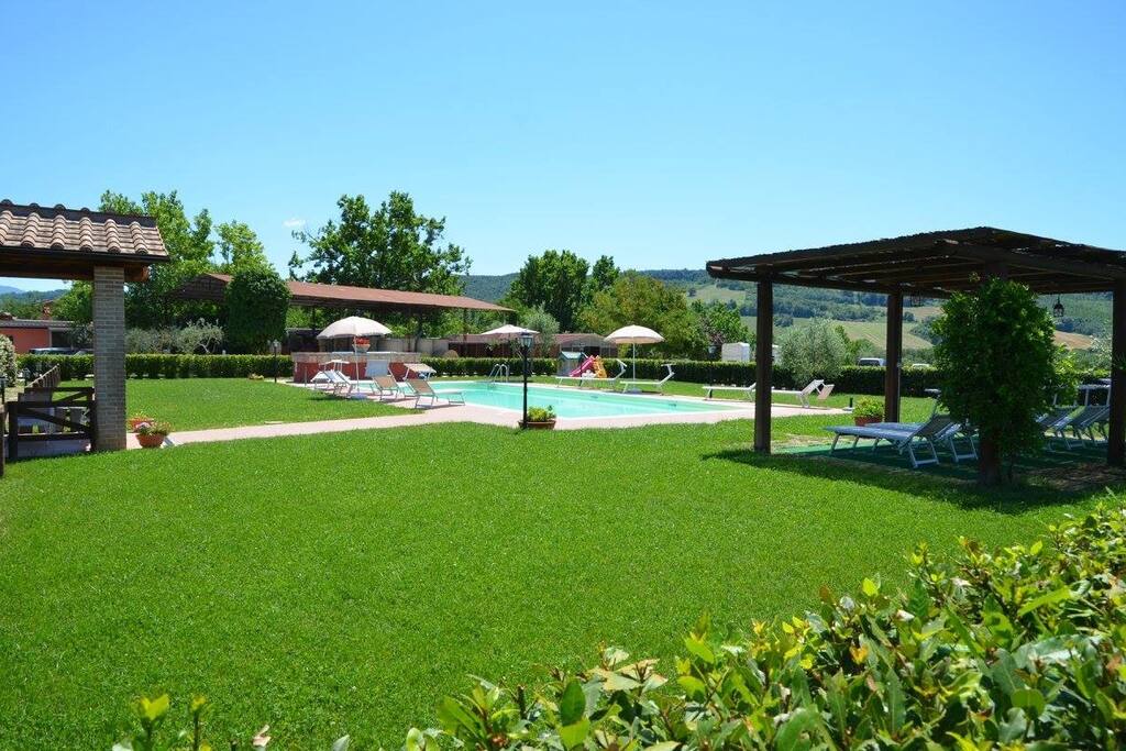 Garden with swimming pool