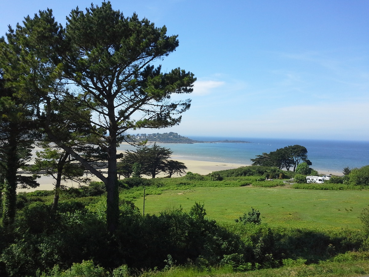 A panoramic view overlooking the serene beach and coastal landscape. Tall trees frame the foreground, while the calm sea stretches towards the horizon. Lush greenery is visible in the foreground, complementing the sandy shore and distant land. The scene is bathed in natural light under a clear blue sky.