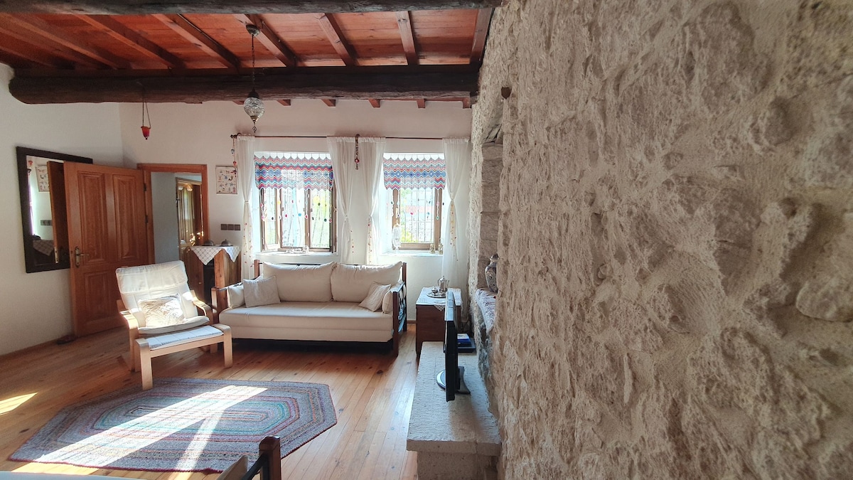 Stone house with heater and air conditioning in Reisdere. Villas for Rent in Cesme Izmir Turkey Airbnb