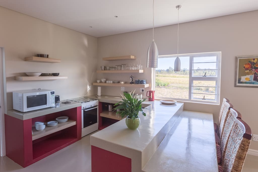 Open plan kitchen and living area.