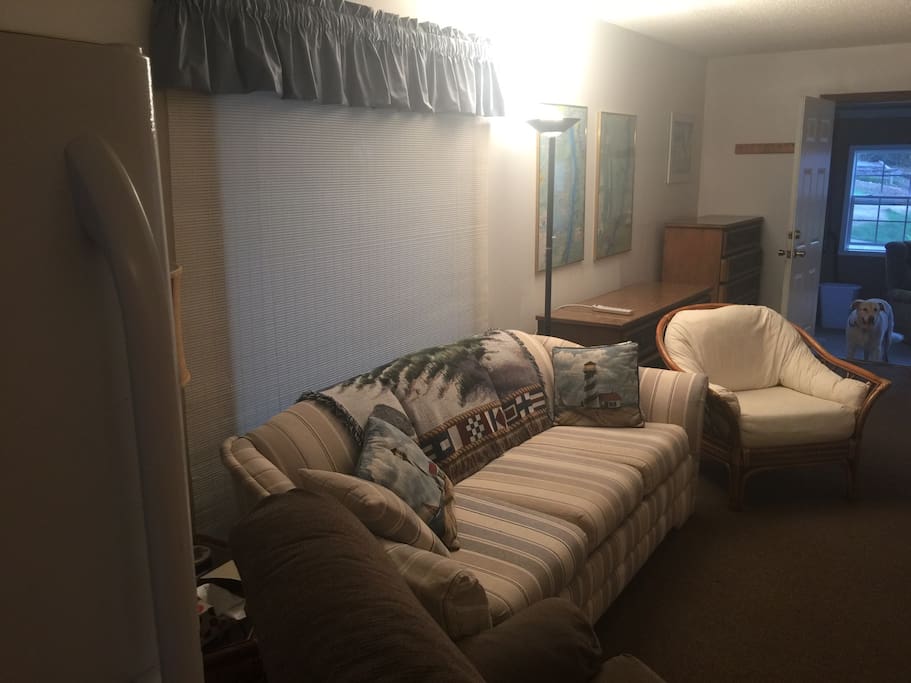 Queen Sofa Bed