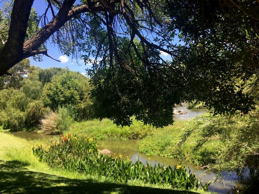 On the banks of the Vaal