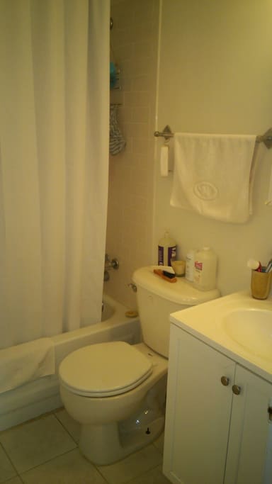 Ensuite bathroom with bathtub