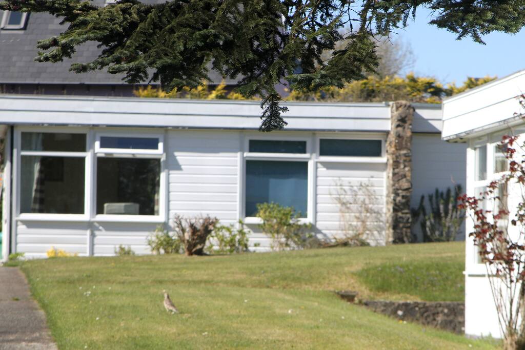 The Chalet