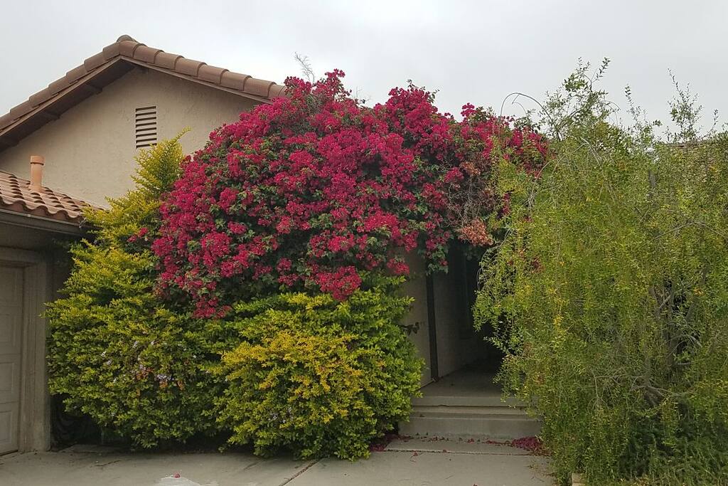 Front entrance to home