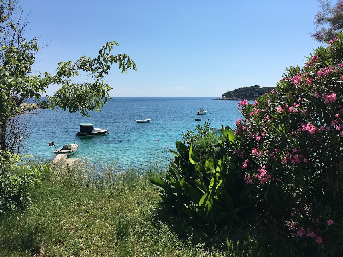 A serene coastal view is captured, featuring clear turquoise waters dotted with small boats. Lush greenery and vibrant pink flowers frame the scene, creating a natural border. The sky above is bright blue, indicating a clear and sunny day along the shoreline.