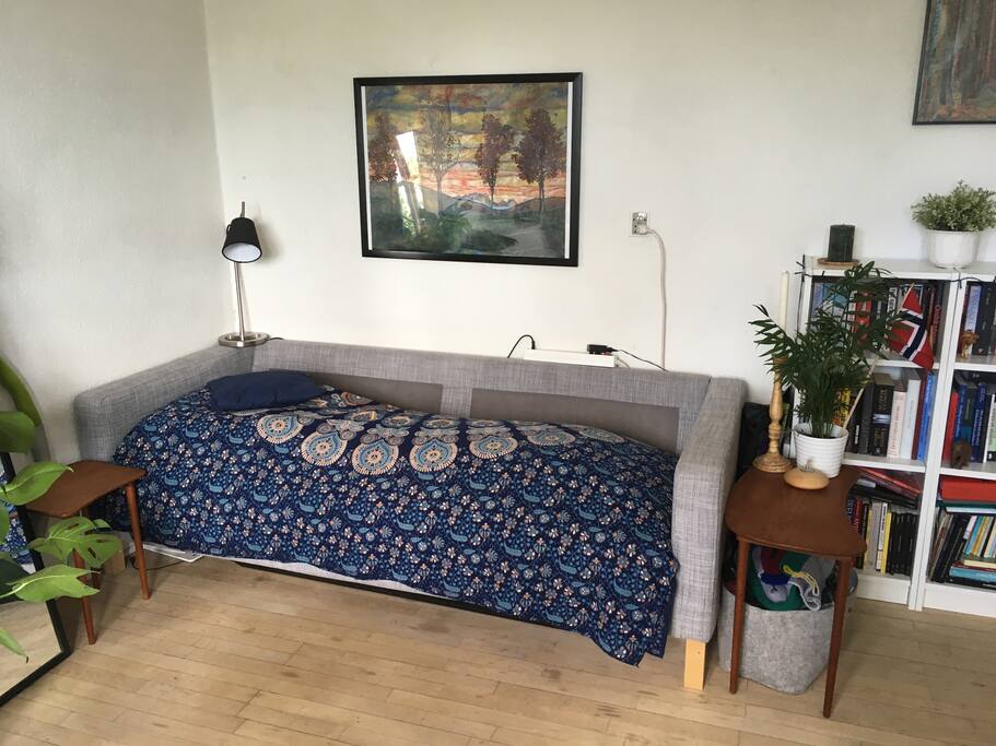 The single bed