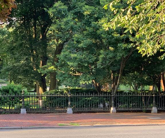 Stunning Beacon Hill Boston Townhouse Apartment gallery image 4