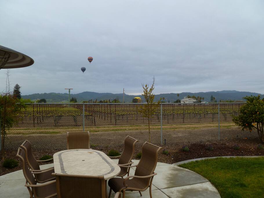 View from our backyard