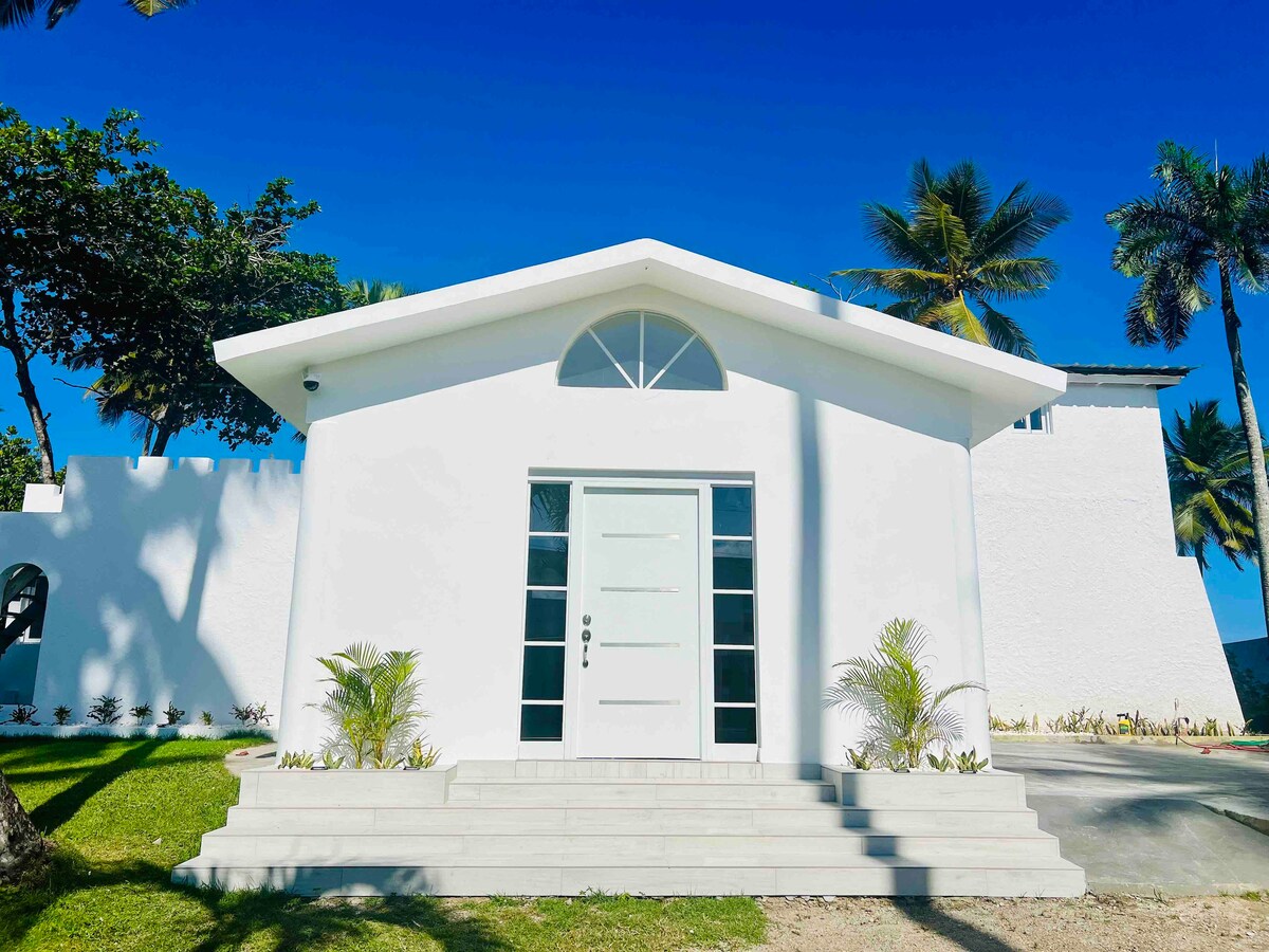 A modern white house is featured, framed by lush greenery and palm trees. The entryway is accentuated by a large symmetrical door, complemented by steps leading to the entrance. Clear blue skies create a bright and inviting backdrop.