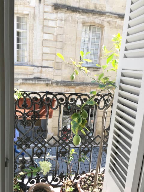 Top Airbnb: Flat with patio, historic center. à Bordeaux
