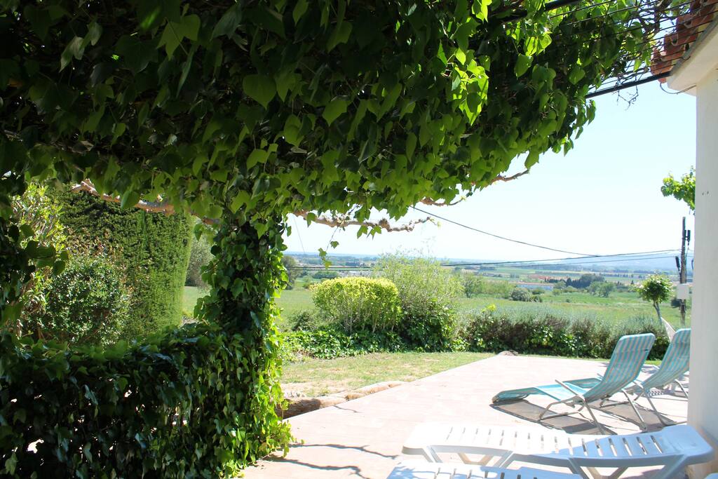 The terrace
